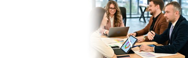 SEO Company in Noida